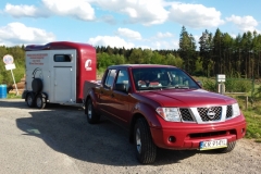 Konie Transport - Dawid Foremniak